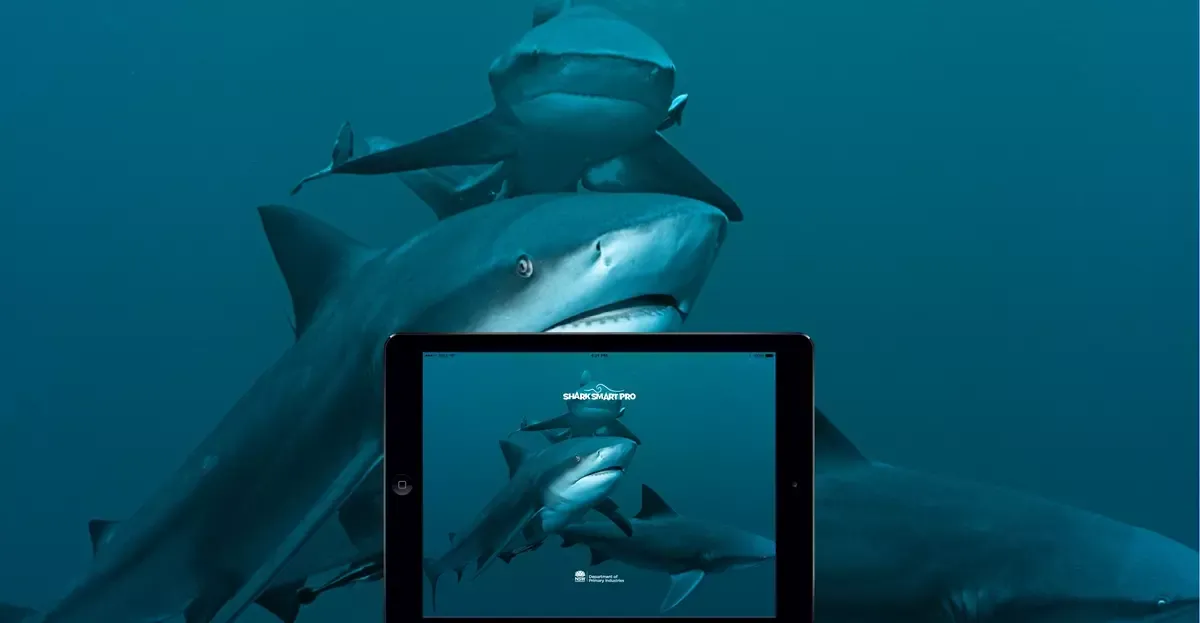 sharksmart app nsw
