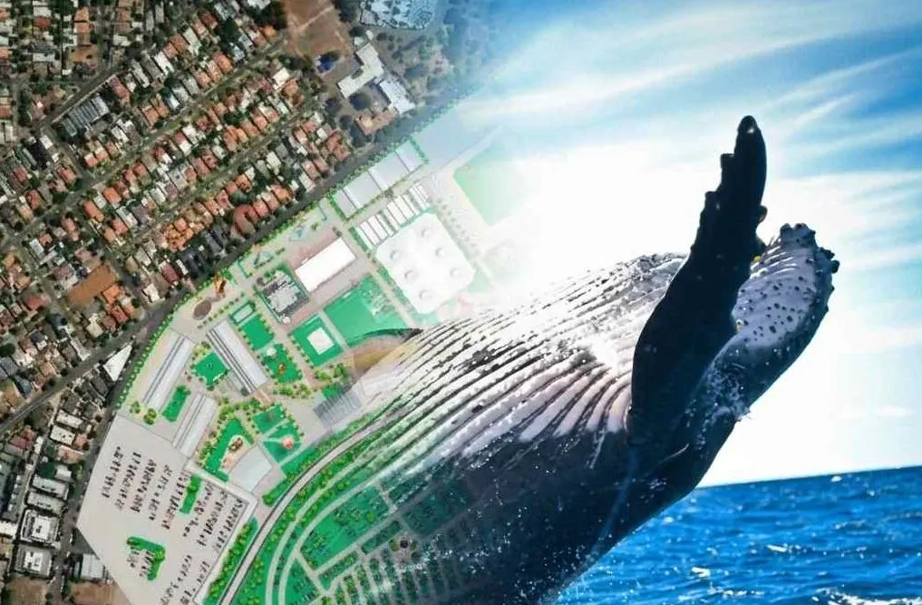 Artistic collage of a city map overlaid with green spaces, transitioning into a blue sea with a whale tail breaking the surface.